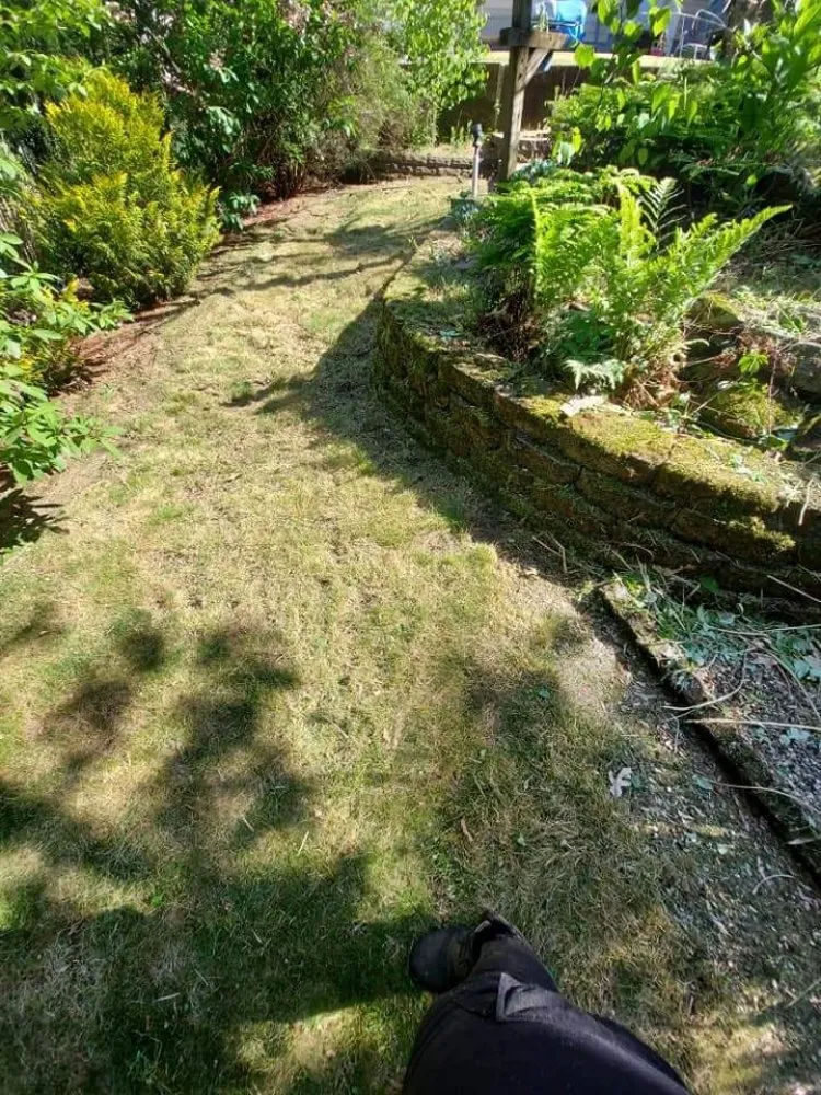 Reliable landscape installation in Springfield, MA - Blue Team Landscaping And Snow Removal