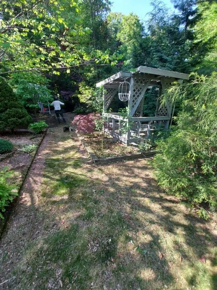 Local landscape installation for outdoor upgrades in Springfield, MA by Blue Team Landscaping And Snow Removal