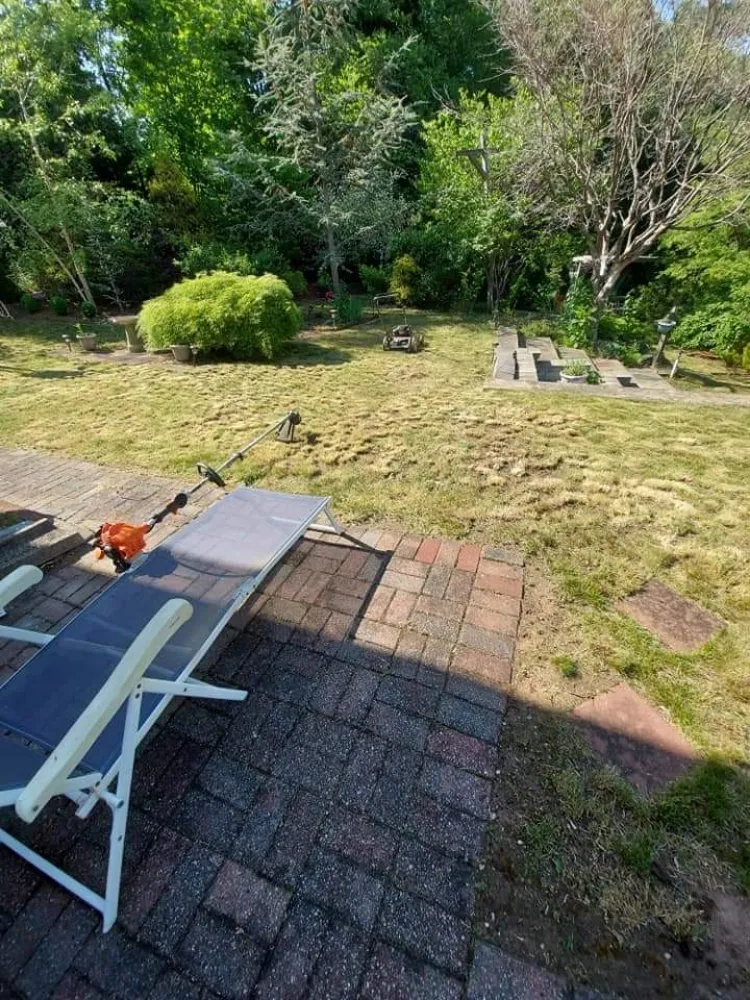 Professional outdoor landscaping experts serving Springfield, MA - Blue Team Landscaping And Snow Removal