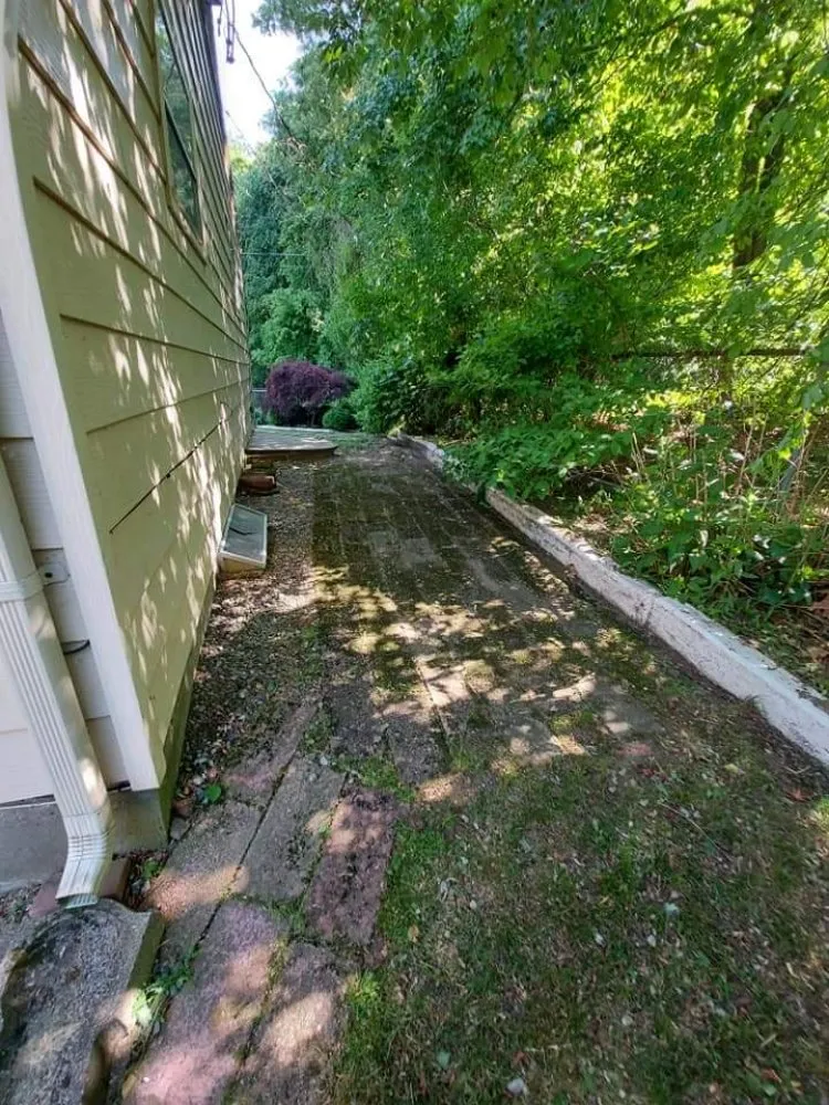 Affordable landscaping services near you across Springfield, MA - Blue Team Landscaping And Snow Removal