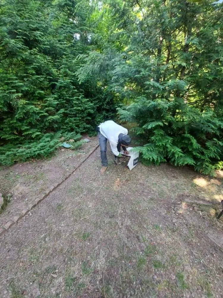 Affordable outdoor landscaping for beautiful yards in Springfield, MA by Blue Team Landscaping And Snow Removal