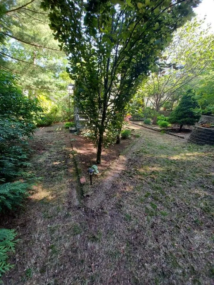 Professional residential landscaping in Springfield, MA - Blue Team Landscaping And Snow Removal