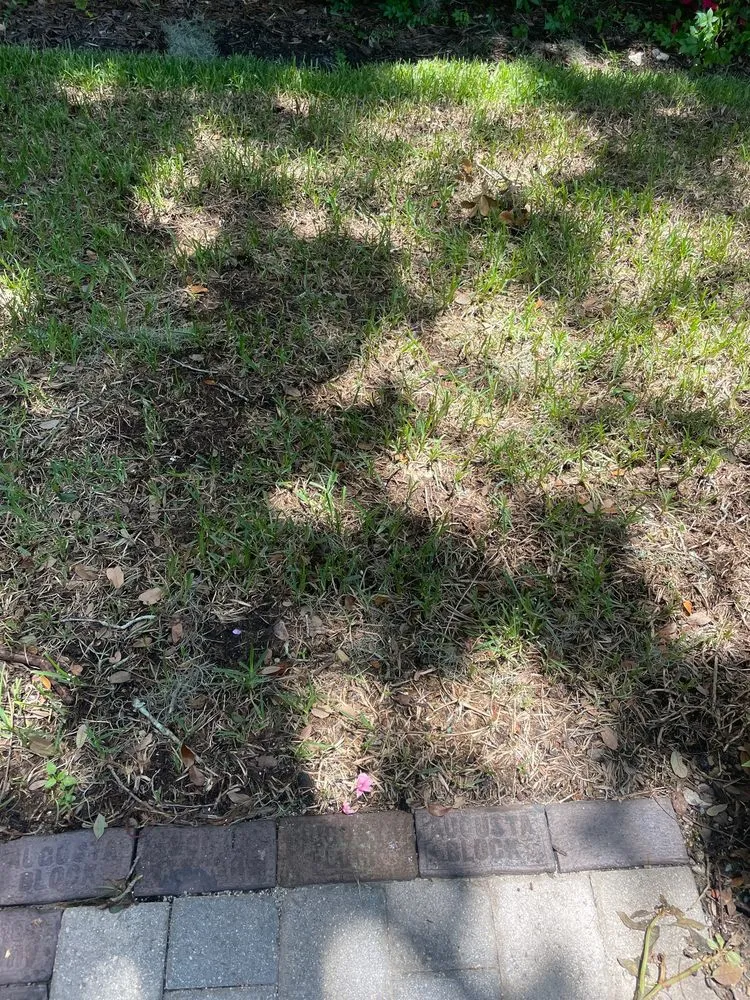 Professional residential landscaping in Land O' Lakes, FL - Blue Tech Services