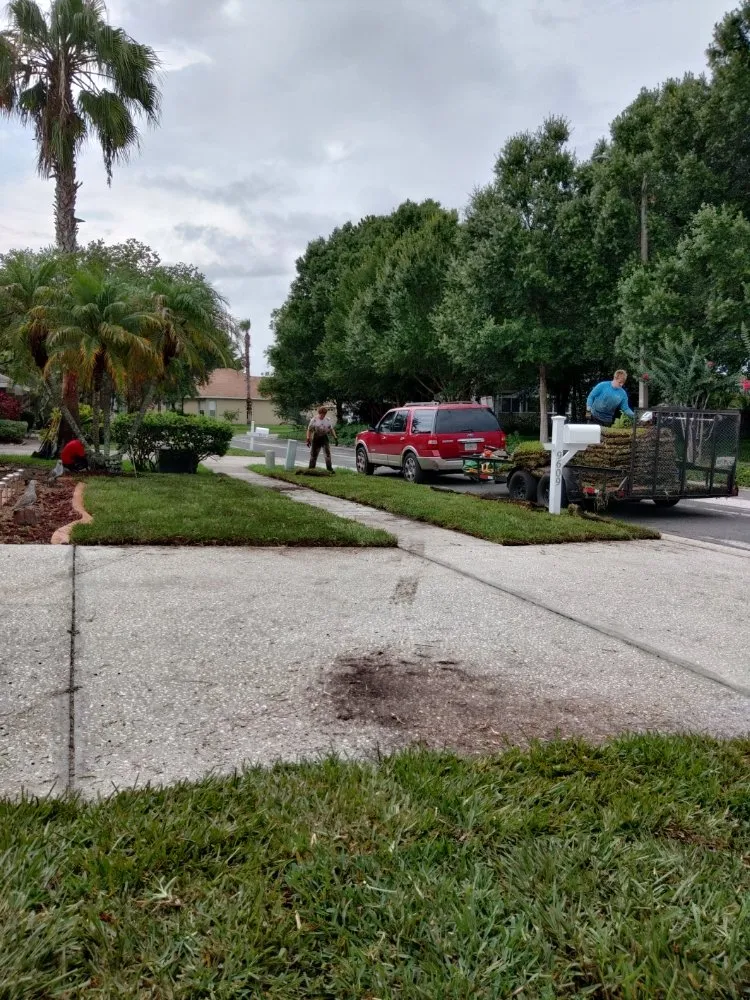 Local residential landscaping in Land O' Lakes, FL - Blue Tech Services