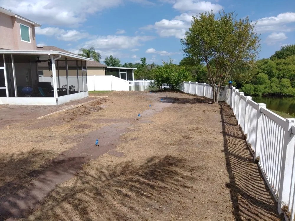 Reliable yard cleanup service in Land O' Lakes, FL - Blue Tech Services