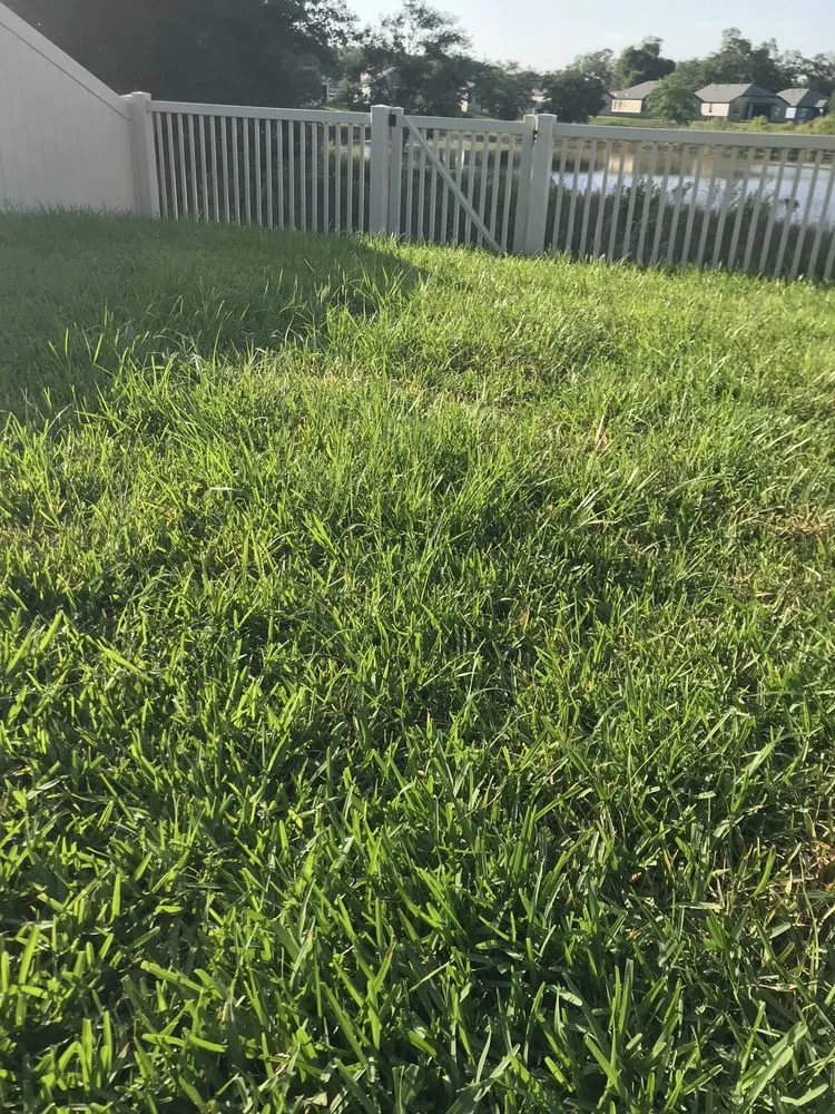 Local lawn mowing service with custom design across Land O' Lakes, FL - Blue Tech Services