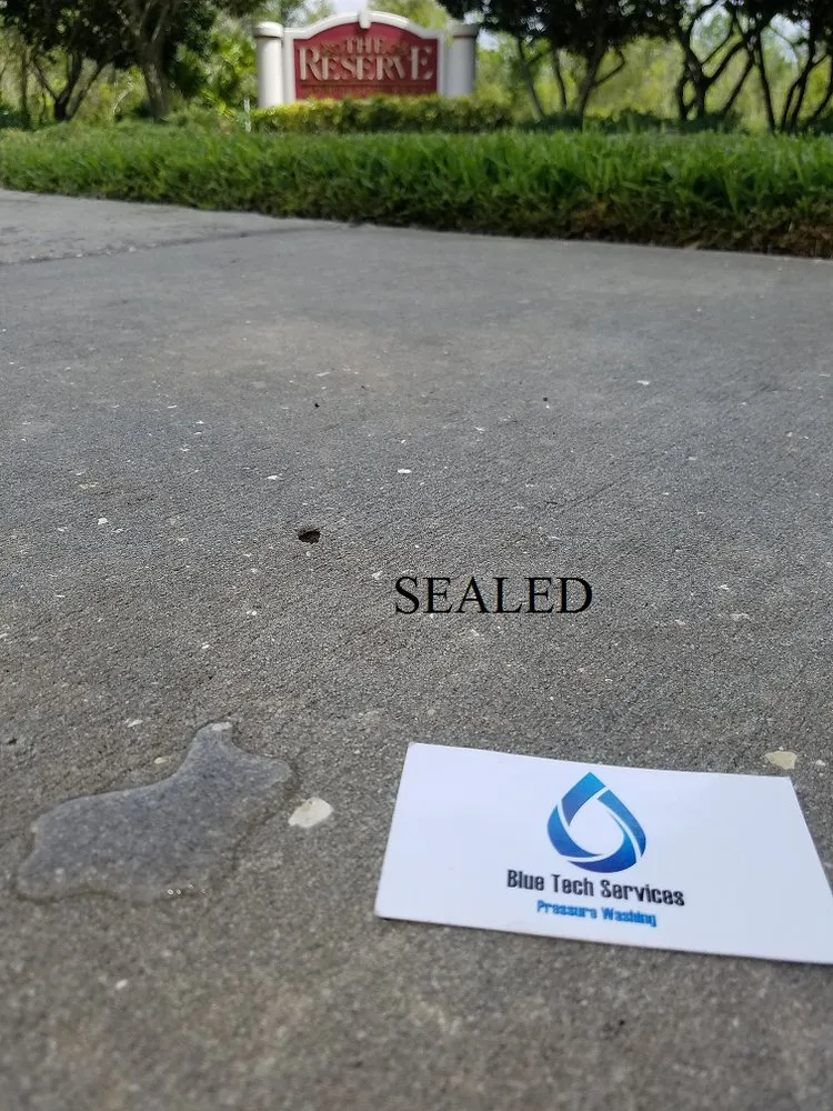 Professional landscape installation for residential properties across Land O' Lakes, FL - Blue Tech Services