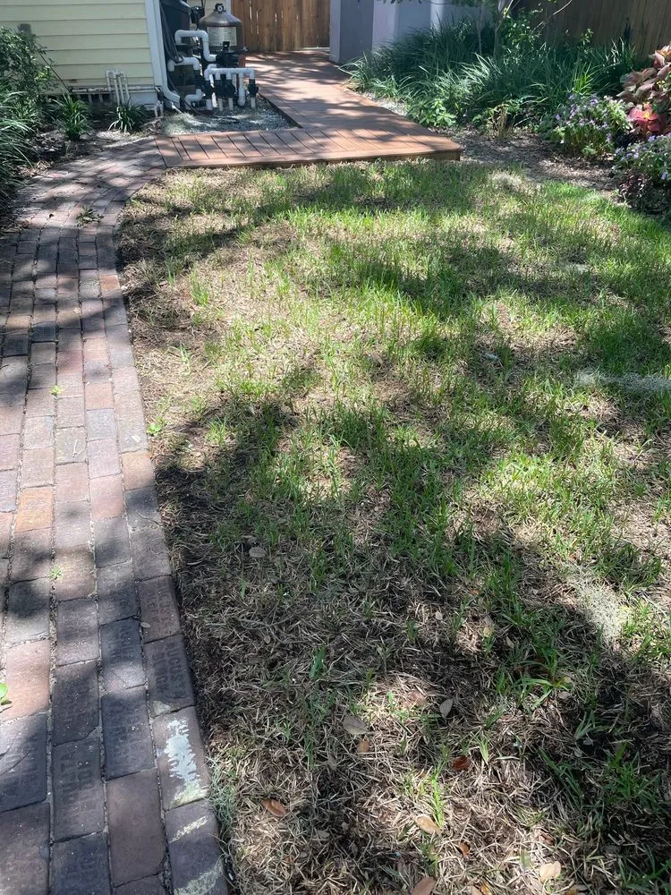 Expert lawn mowing service with custom design across Land O' Lakes, FL - Blue Tech Services