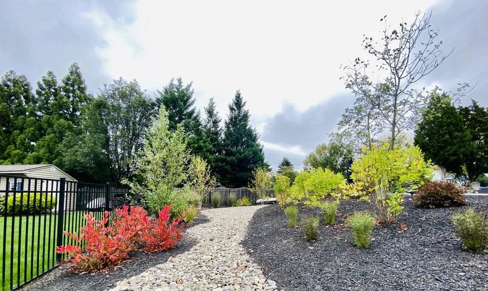 Reliable yard cleanup service for outdoor upgrades across Schwenksville, PA - Blue Tree Landscaping