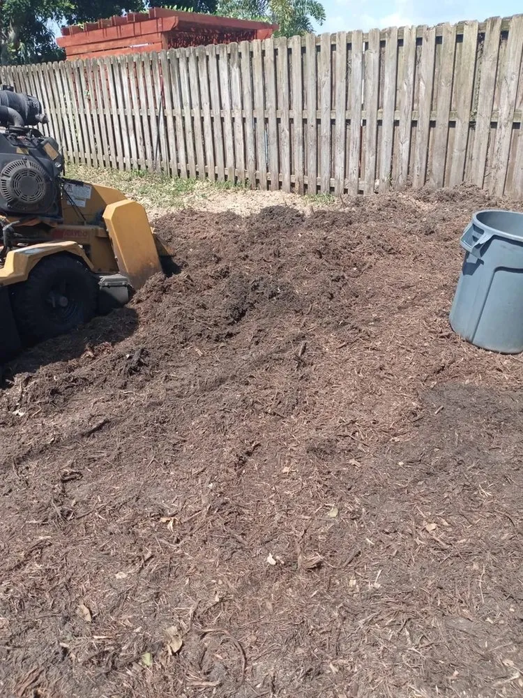 Expert landscape installation near you in Hollywood, FL by Blue Tree Lawn Service