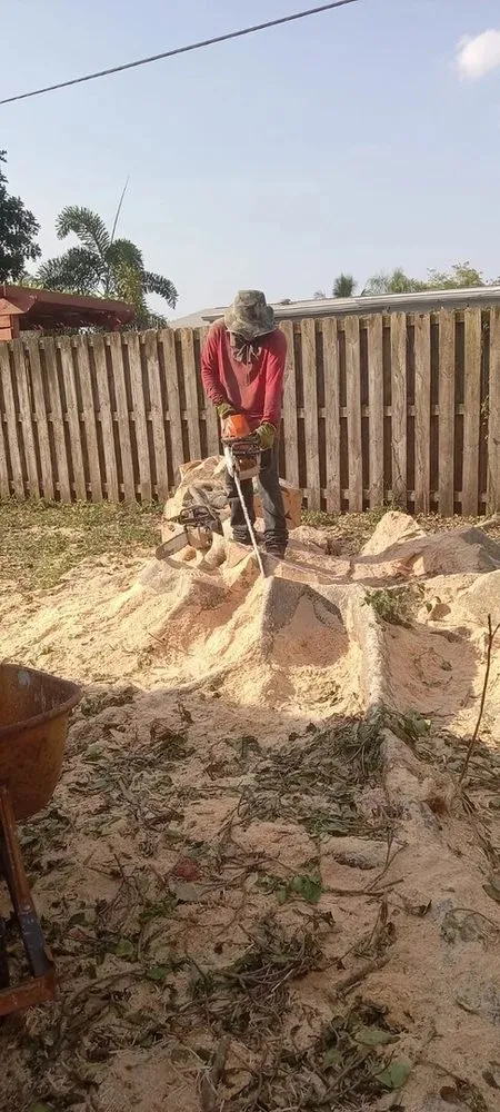 Custom yard maintenance for beautiful yards in Hollywood, FL by Blue Tree Lawn Service