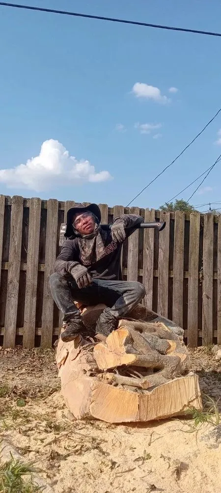 Professional residential landscaping for outdoor upgrades across Hollywood, FL - Blue Tree Lawn Service