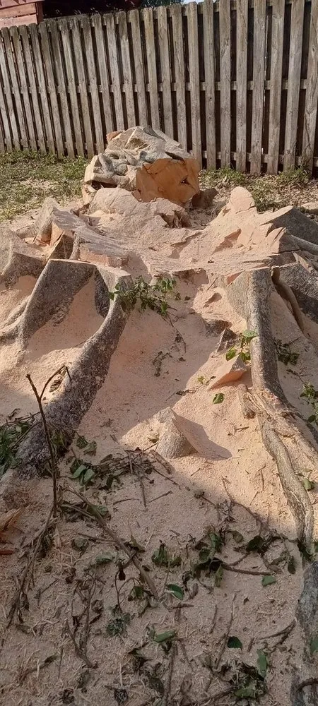 Reliable landscape installation for beautiful yards in Hollywood, FL by Blue Tree Lawn Service