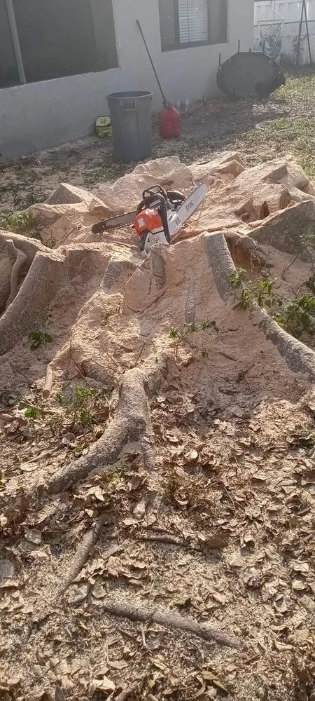 Custom landscape design experts serving Hollywood, FL - Blue Tree Lawn Service