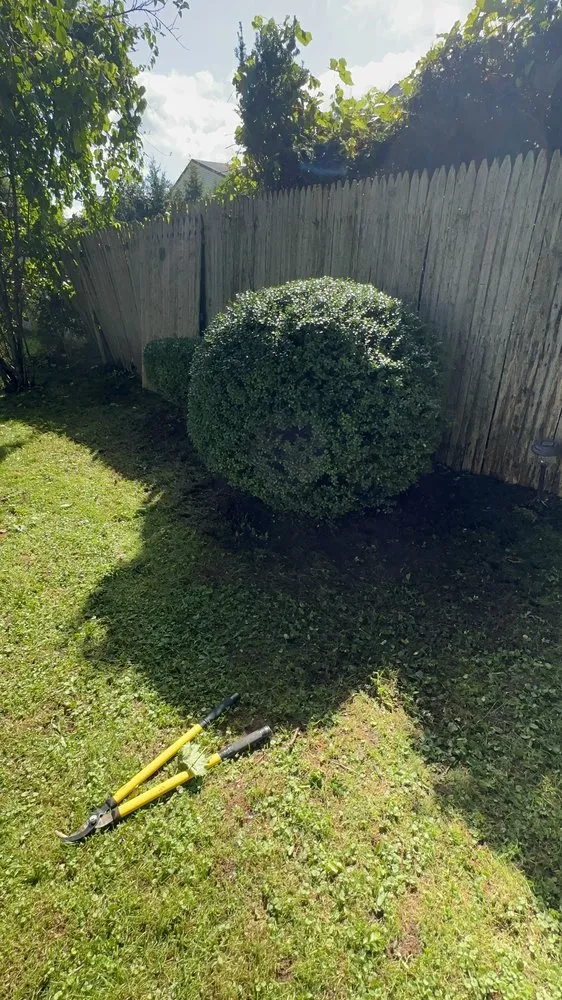 Local residential landscaping near you across New Britain, CT - Blue Truck