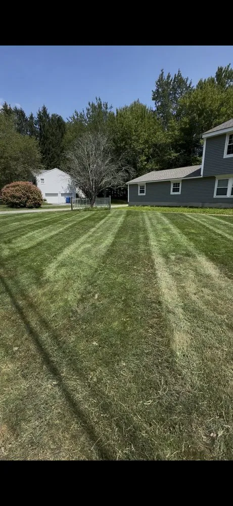 Top-rated residential landscaping for homes across New Britain, CT - Blue Truck