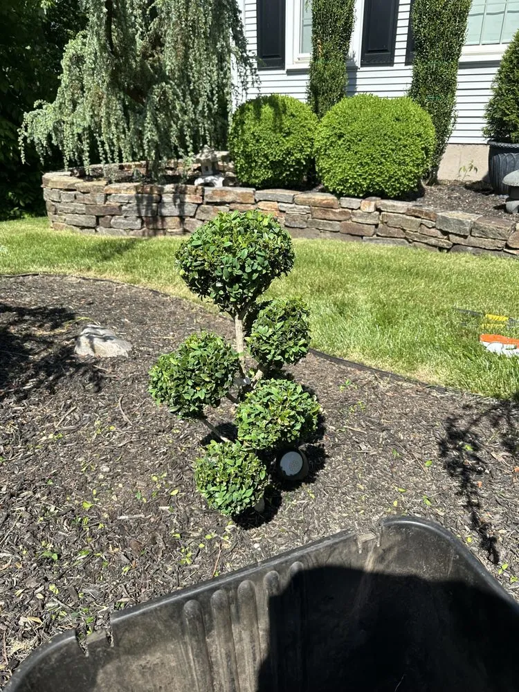 Custom lawn mowing service experts serving New Britain, CT - Blue Truck