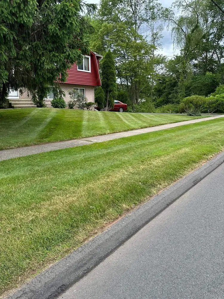 Local yard maintenance for outdoor upgrades across New Britain, CT - Blue Truck