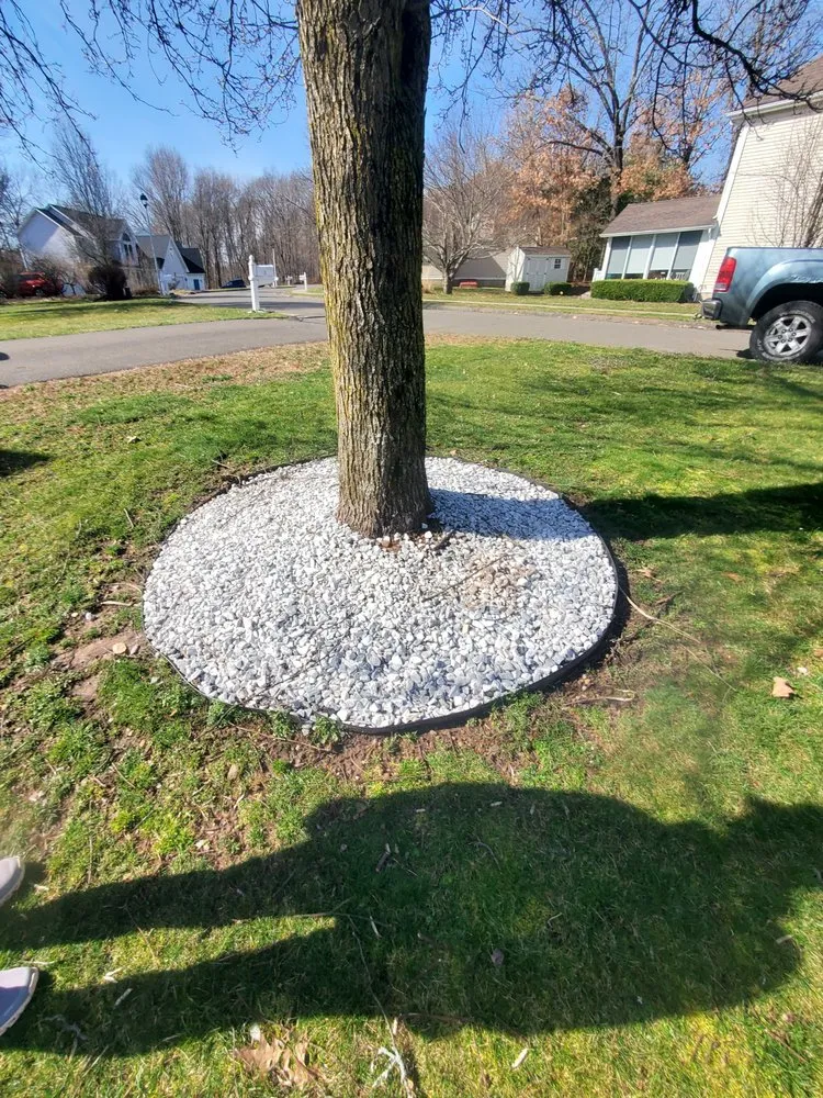 Expert lawn care service for outdoor upgrades across New Britain, CT - Blue Truck