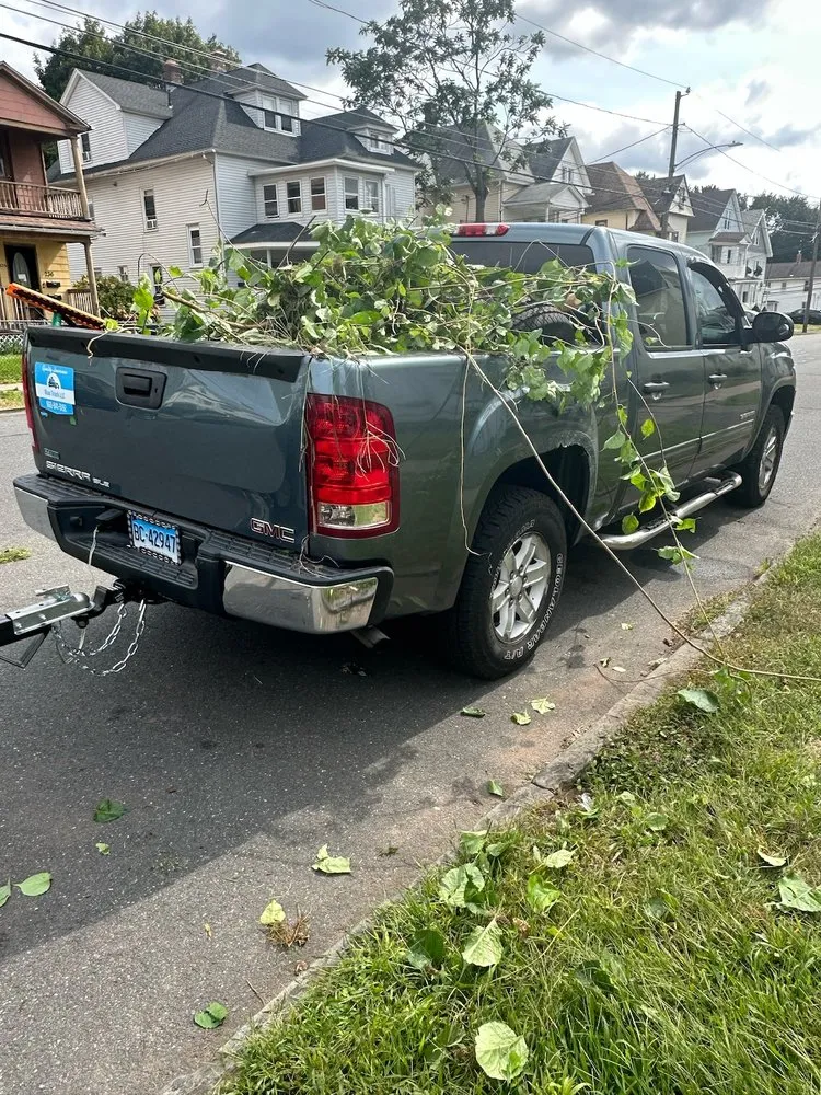 Trusted residential landscaping in New Britain, CT - Blue Truck