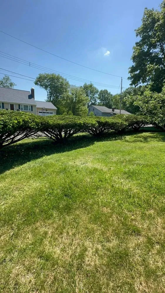 Trusted garden landscaping experts serving New Britain, CT - Blue Truck