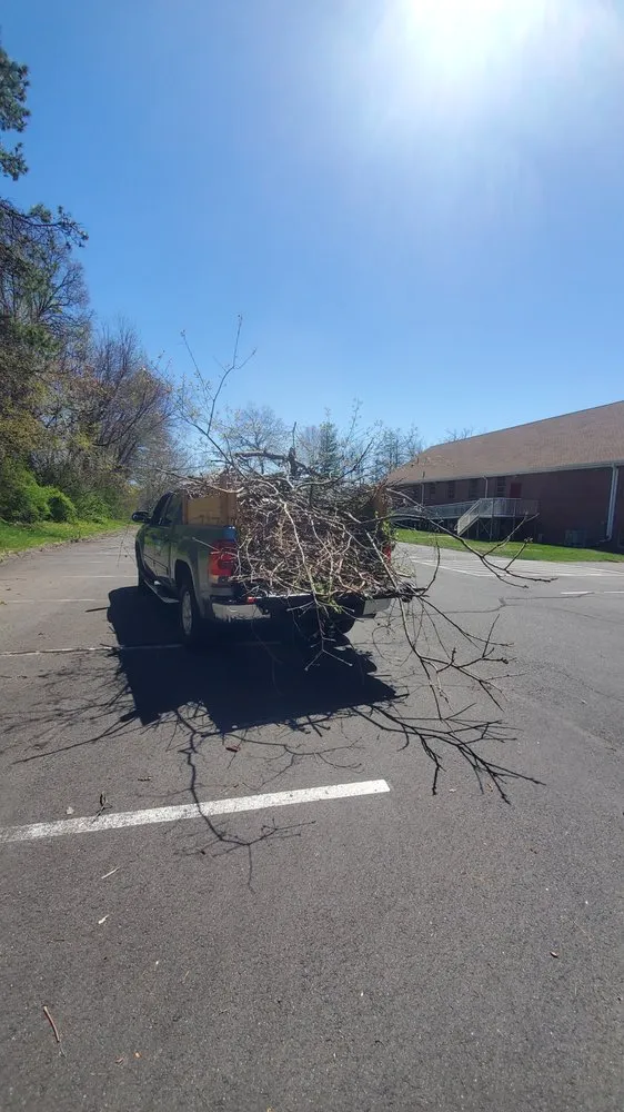Affordable yard cleanup service in New Britain, CT - Blue Truck