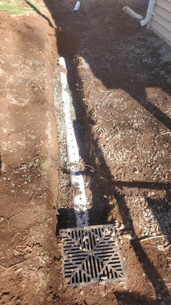 Expert yard cleanup service for residential properties across New Britain, CT - Blue Truck