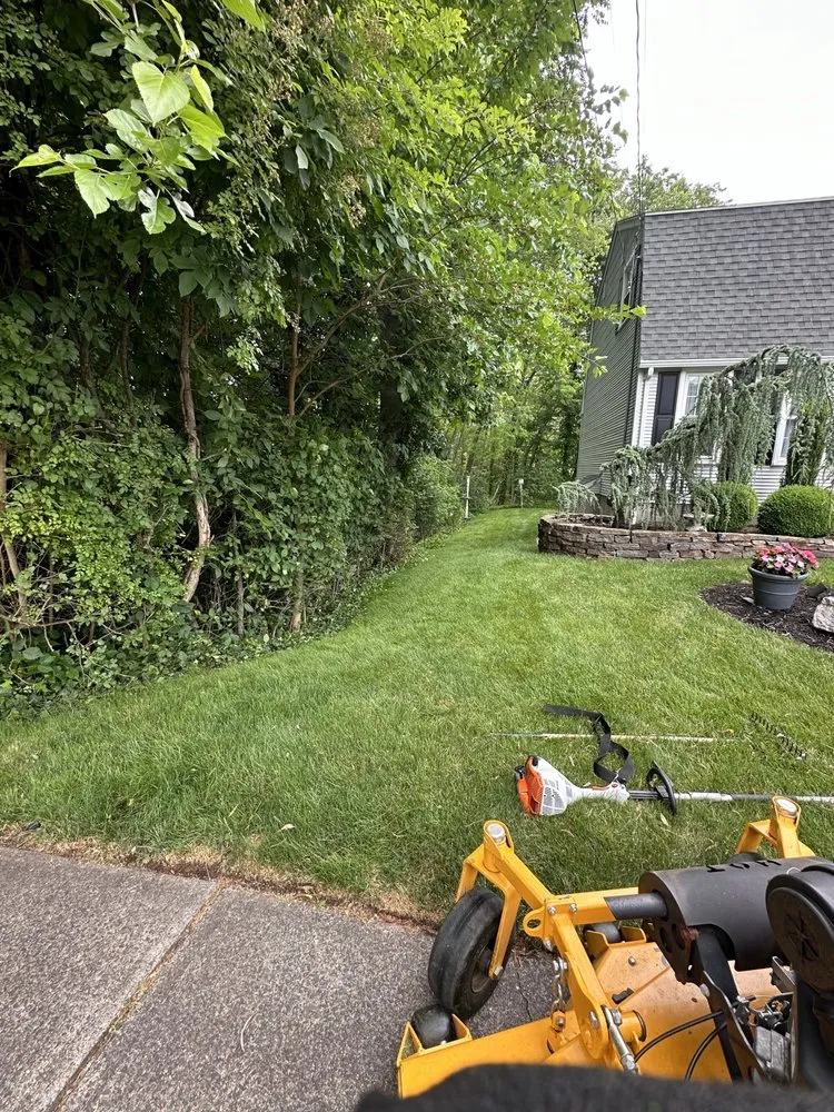 Affordable residential landscaping for year-round maintenance in New Britain, CT by Blue Truck