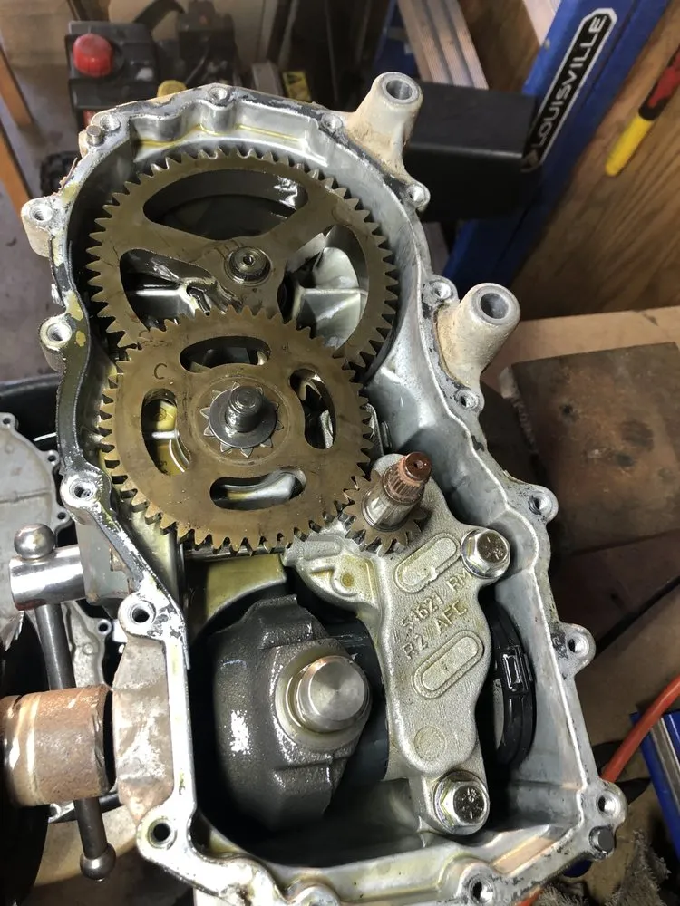 Top-rated landscape installation in Donna, TX - Blue Valley Lawn Service & Trailer Rentals