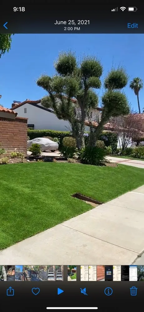 Local residential landscaping for outdoor upgrades in Oxnard, CA by Blue View landscaping