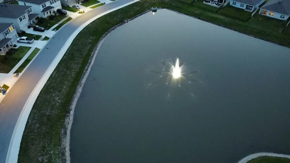 Trusted yard cleanup service for year-round maintenance across New Port Richey, FL - Blue Water Aquatics