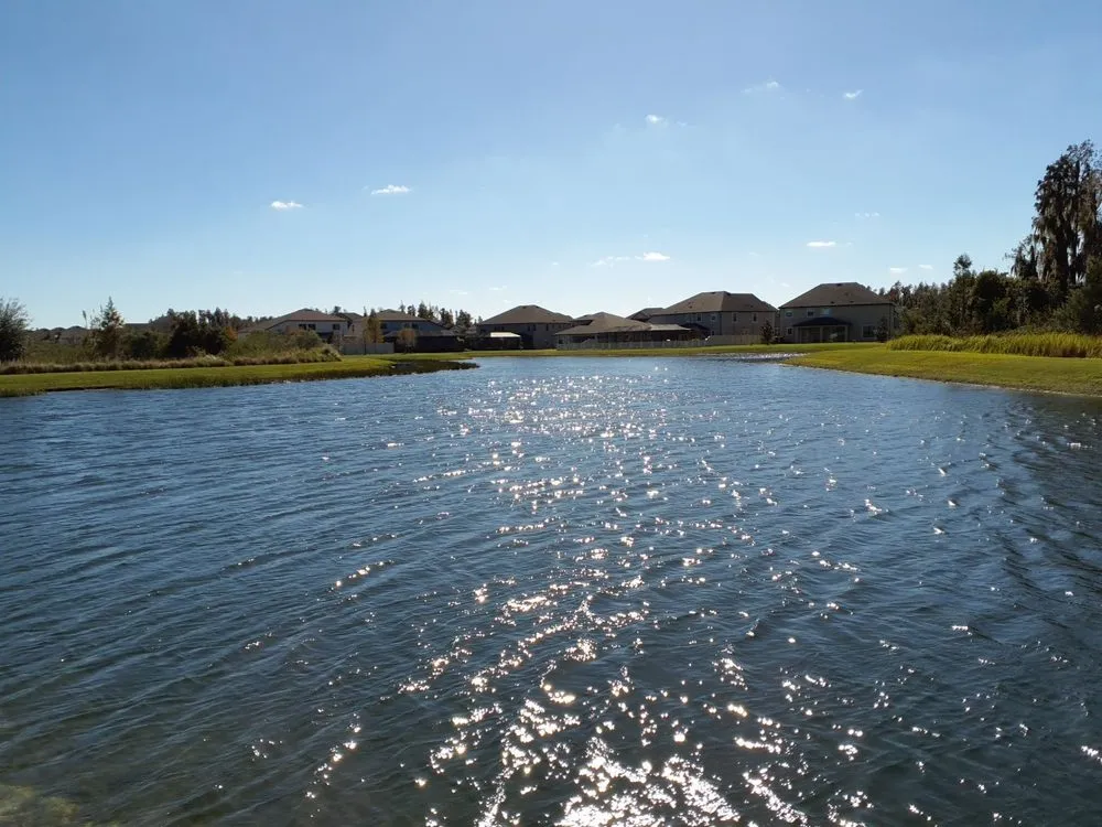 Top-rated lawn mowing service for outdoor upgrades across New Port Richey, FL - Blue Water Aquatics