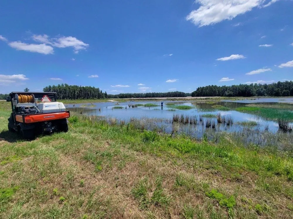 Reliable yard maintenance in New Port Richey, FL - Blue Water Aquatics