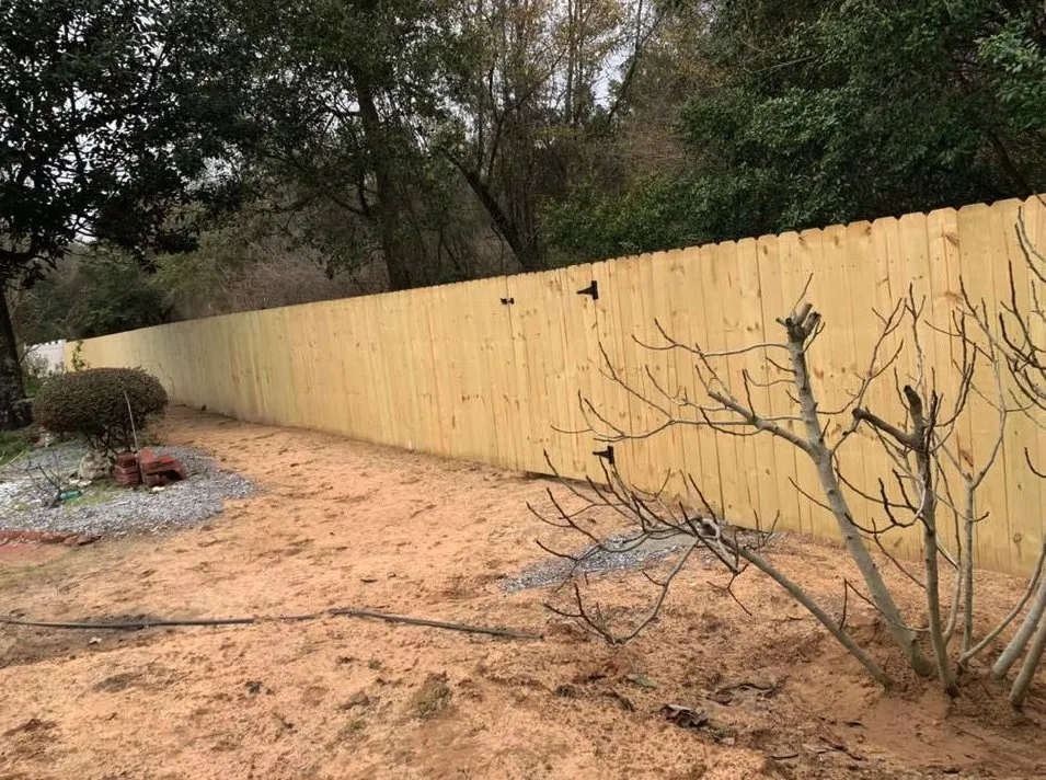 Expert yard maintenance for homes across Cantonment, FL - Blue Water Construction & Landscaping