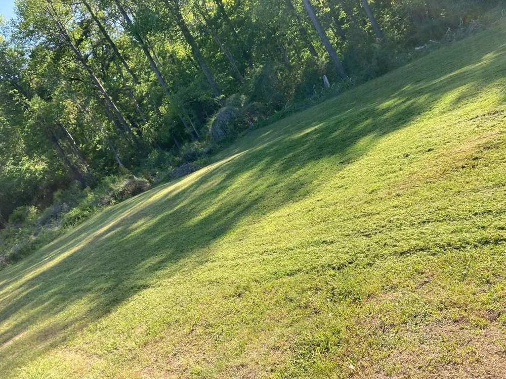 Professional garden landscaping in Oakman, AL by Blue Water Enterprises