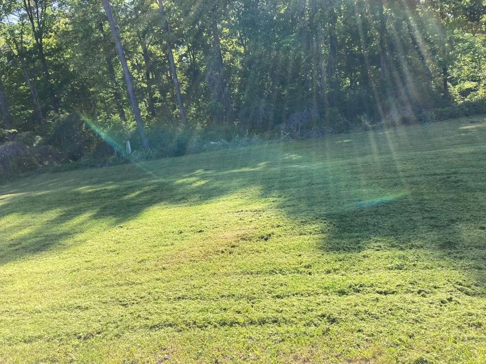 Trusted yard maintenance for residential properties across Oakman, AL - Blue Water Enterprises