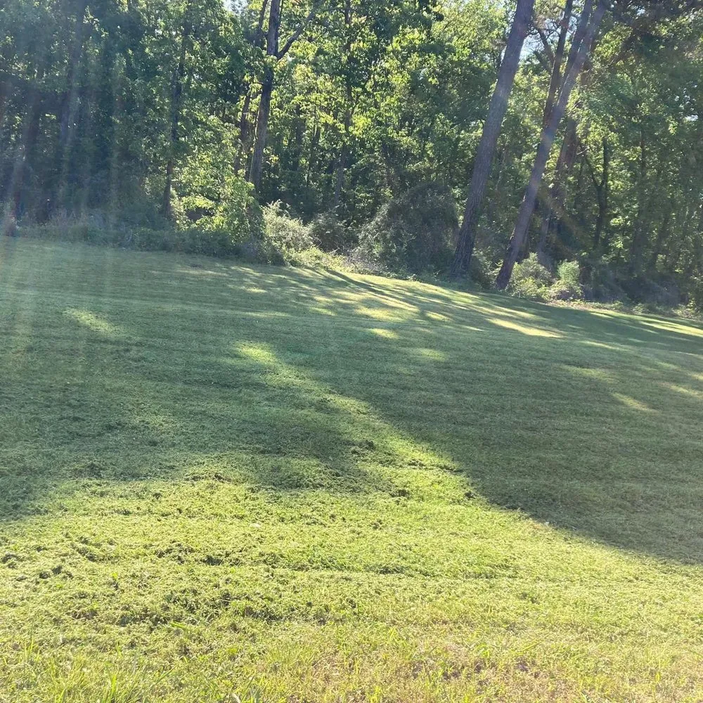 Top-rated landscape design for homes in Oakman, AL by Blue Water Enterprises