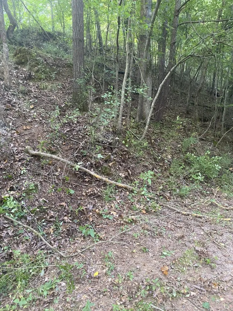 Trusted lawn care service in Oakman, AL by Blue Water Enterprises