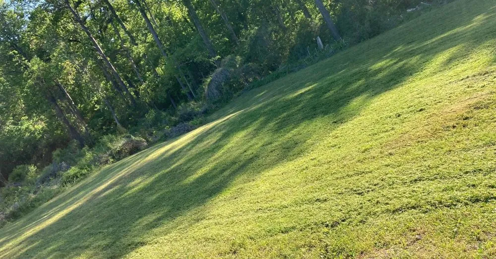 Top-rated lawn mowing service in Oakman, AL by Blue Water Enterprises