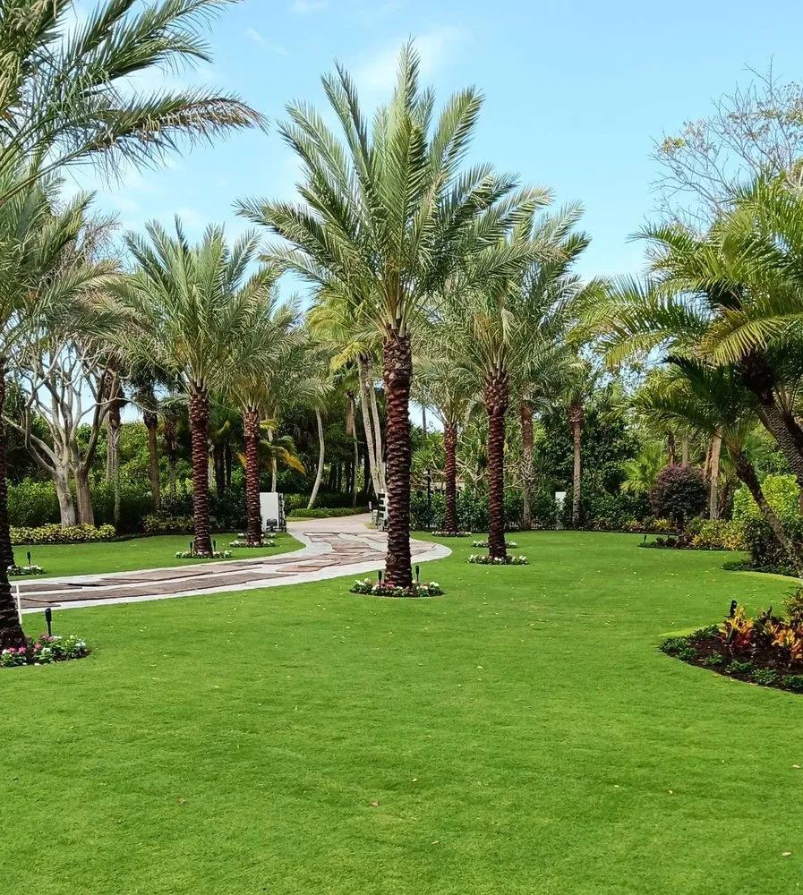 Trusted lawn mowing service near you in Hobe Sound, FL by Blue Water Landscape