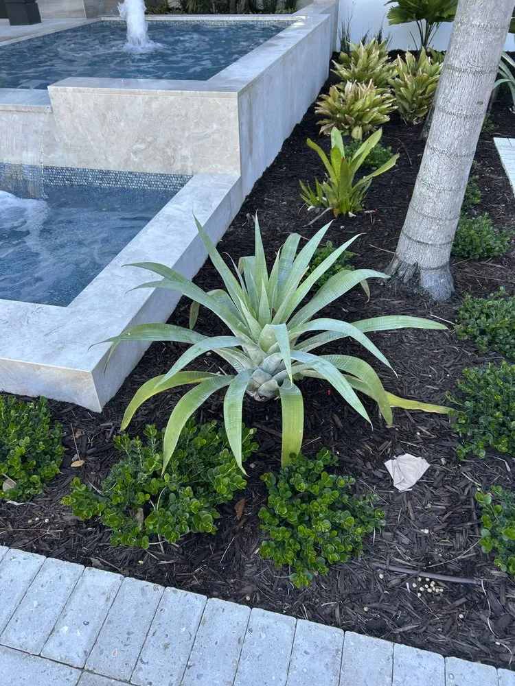 Custom landscape installation in Hobe Sound, FL - Blue Water Landscape