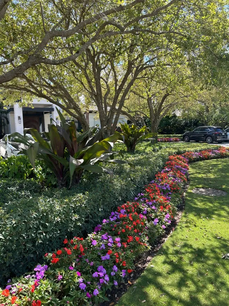 Professional yard cleanup service in Hobe Sound, FL - Blue Water Landscape