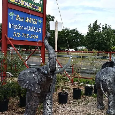 Reliable garden landscaping near you in Kingsland, TX by Blue Water Nursery and Irrigation