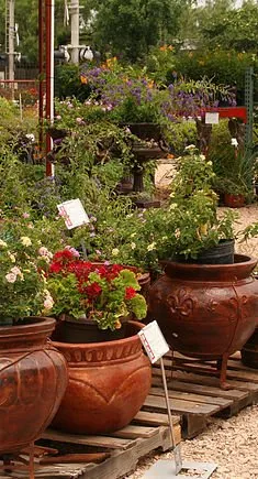 Affordable outdoor landscaping for homes across Kingsland, TX - Blue Water Nursery and Irrigation