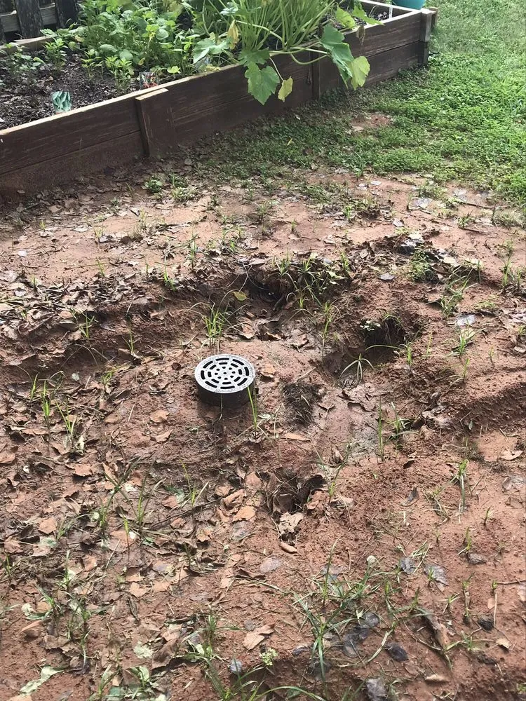 Reliable lawn care service for homes across Kingsland, TX - Blue Water Nursery and Irrigation