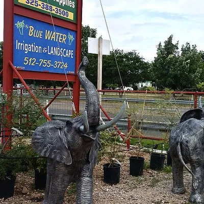 Blue Water Nursery and Irrigation