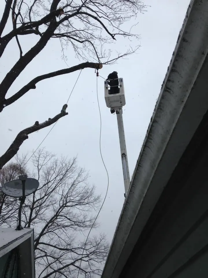 Professional residential landscaping in Charleston, ME by Blue Water Tree & Lawn