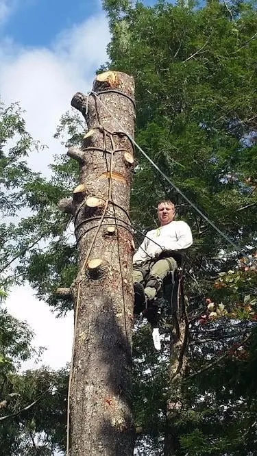 Local yard cleanup service in Charleston, ME - Blue Water Tree & Lawn