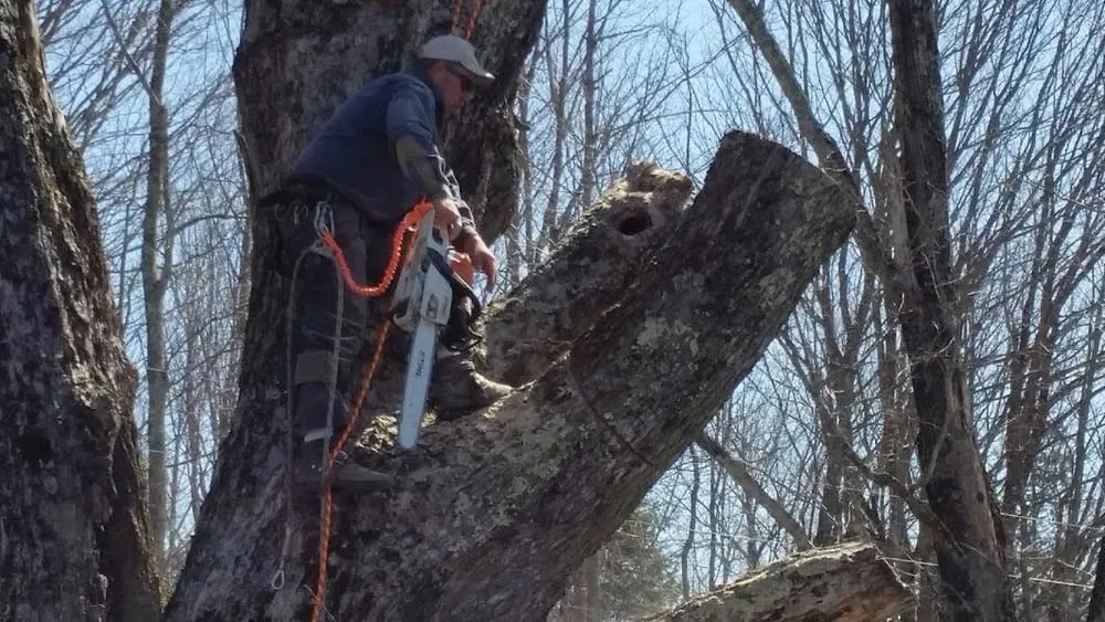 Professional yard maintenance in Charleston, ME by Blue Water Tree & Lawn