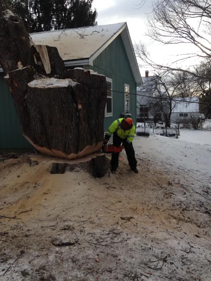 Top-rated landscape installation for residential properties in Charleston, ME by Blue Water Tree & Lawn